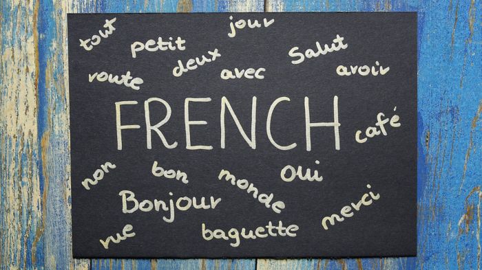 French quiz vocabulary quizony