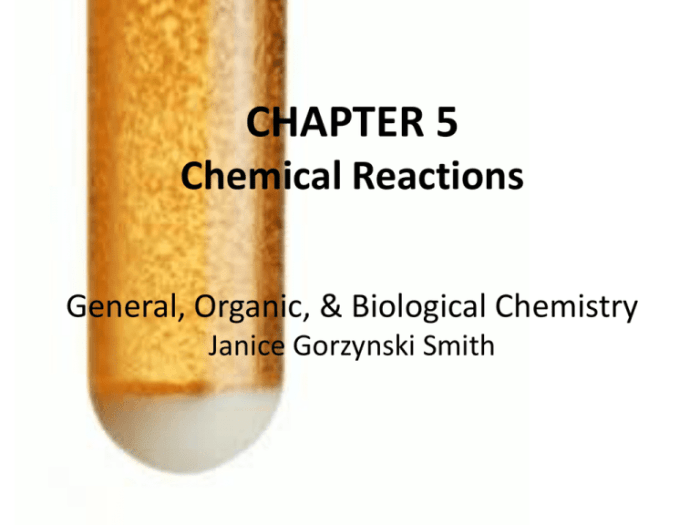 Organic chemistry janice gorzynski smith