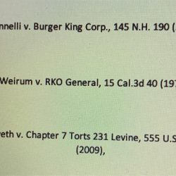 Iannelli v. burger king corp