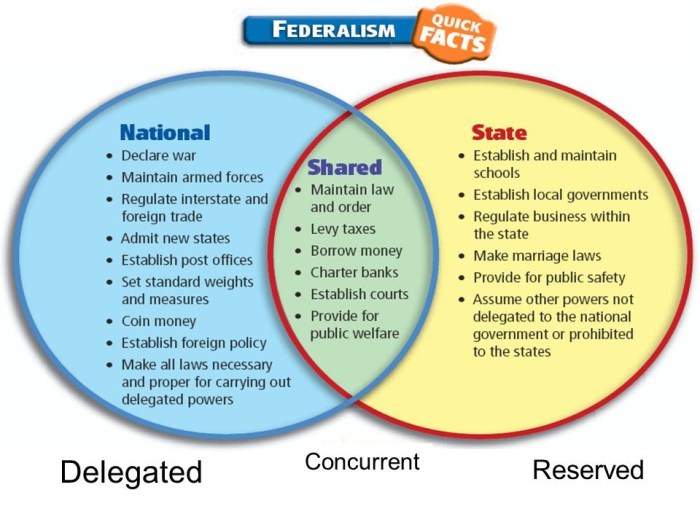 State federal tug of war answer key