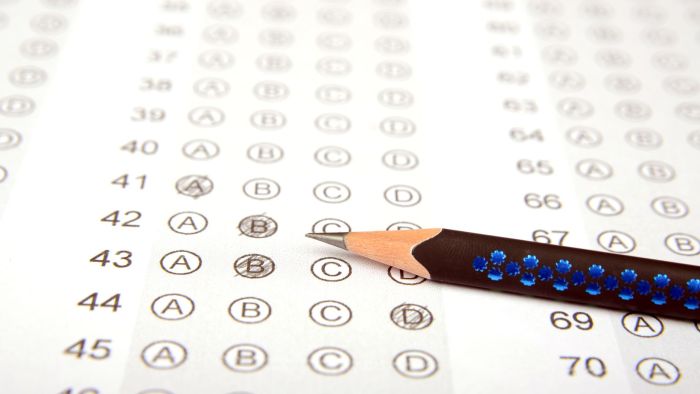 Testout pro certification exam answers