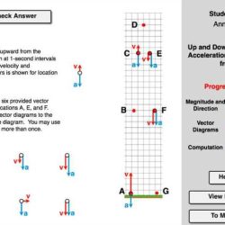 State federal tug of war answer key