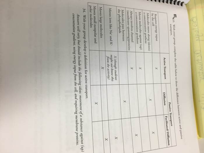 Membrane structure and function pogil answer key