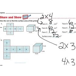 Finding surface area with nets worksheet answer key